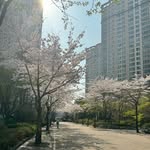yul shin (priv) - @syshin1017 - Instagram