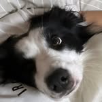@yun_choding - Instagram