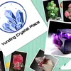 Yunding Crystals - @yundingcrystal - TikTok
