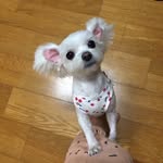 구름이언니💕 - @yundingg - Instagram
