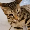 Pei-Yun Tsai - @peiyun.tsai - TikTok