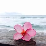 Yunxia Li - @yunxia.li.106 - Instagram
