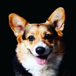 Yuquan Chen - @denischenyuquan - Instagram
