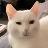 Bondar Yuri - @bondar_yuri - TikTok