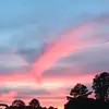 Yuri Casas - @yuricasas - TikTok