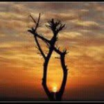 Yusef Emad - @yusefemad - Instagram