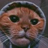 Yusef Omar - @yusef.omar67 - TikTok