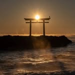 yutaka.ANDO - @yutaka.ando.jp - Instagram