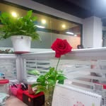 Yuxuan Yang - @yuxuan.yang.94801 - Instagram