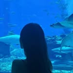 Yuxuan Yang - @tom12345tom12300 - Instagram