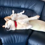 Yuya Iida - @yuyaiida - Instagram