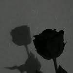 Yuyan Ma'ruf - @yuyanmaruf58 - Instagram