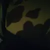 Yuyang Ma - @yuyang.ma - TikTok