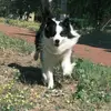 yu yang sun - @yu.yang.sun - TikTok