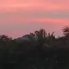 Yu zhe Lim - @yu.zhe.lim5 - TikTok