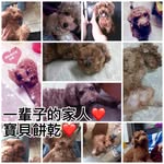 Yuzhu Wang - @821014yz - Instagram