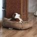 Yvan Bernier - Facebook