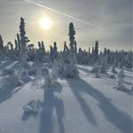 Yvan Bouchard - @yvan8445 - Instagram