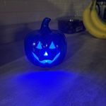 Yvan Cournoyer - @yvan_for_you_ - Instagram