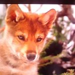 hubert .yvan - @hubert.yvan - Instagram