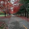 Yvon Provencher - @yvon.provencher - TikTok