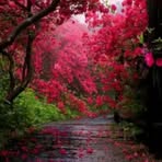 Yveline Andre - Facebook
