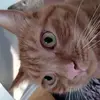 Yves Adam - @yves.adam6 - TikTok