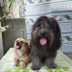 Yves Adam Anton Malapitan - @malapitan_anton - Instagram