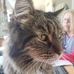 Yves Boudreau - Facebook
