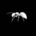 Yves Charles - Facebook