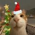 Christian Yves Conde - Facebook