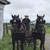 Yves Dion - Facebook