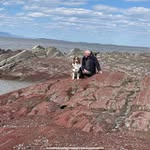 Yves Dion - @vpquebec - Instagram