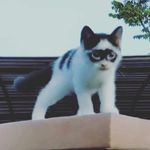 Yves-Raphael - @y.vesraphael - Instagram
