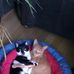 Yvette Aleman - Facebook
