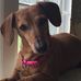 Yvette Barker - Facebook