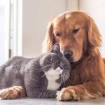 Yvette Benoît - @sandrine202452 - Instagram