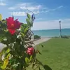 Yvette Benoît Bonelle - @yvette.benot.bone - TikTok