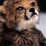 Yvette Benson - @yvettekitty33 - Instagram