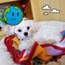 Yvette Bergeron - Facebook