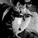 Yvette Bernard - Facebook