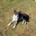 Yvette Bishop - Facebook