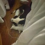 Yvette - @yvetteblackmon5 - Instagram