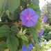 Yvette Blanchard - Facebook