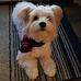 Yvette Blanchard - Facebook