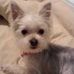 Wanda Yvette Bledsoe - Facebook