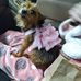 Yvette Bockoven - Facebook
