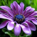 Yvette Booth - Facebook