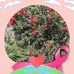 Yvette Bouchard - Facebook