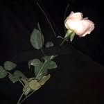 Yvette Bruce - @uce38861163 - Instagram